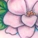 Tattoos - Simple gardenia - 52107
